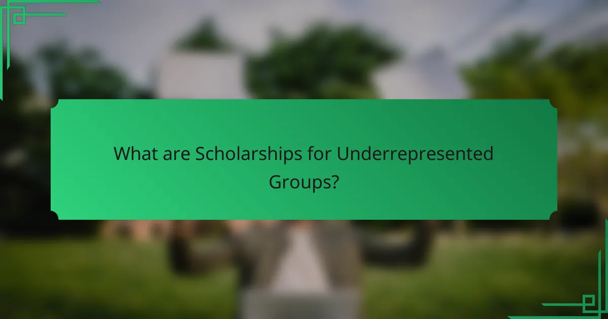 What are Scholarships for Underrepresented Groups?