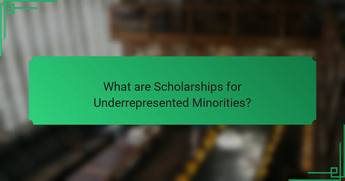 What are Scholarships for Underrepresented Minorities?
