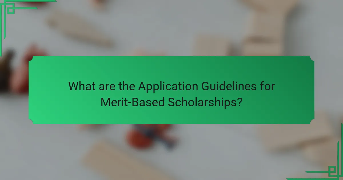 What are the Application Guidelines for Merit-Based Scholarships?