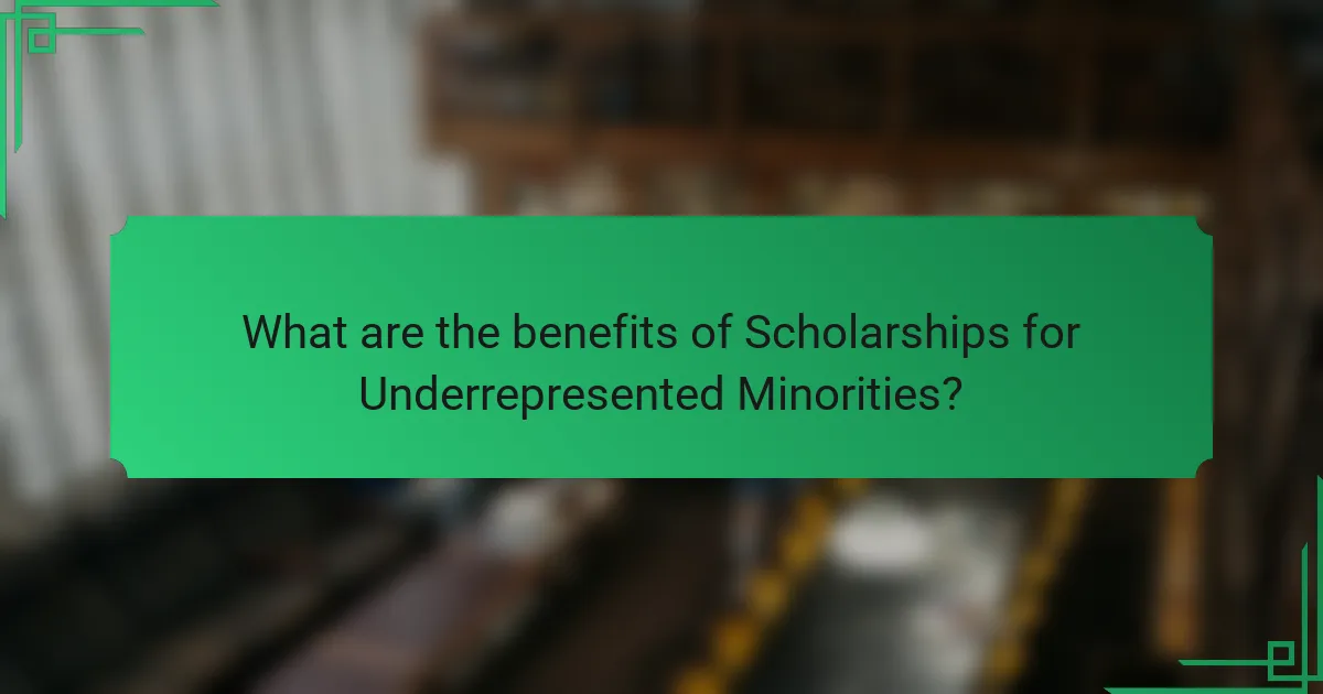 What are the benefits of Scholarships for Underrepresented Minorities?