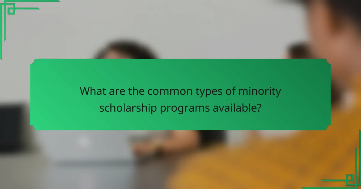 What are the common types of minority scholarship programs available?