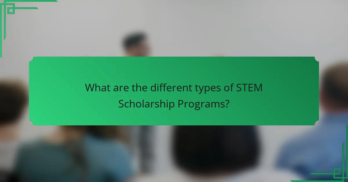 What are the different types of STEM Scholarship Programs?