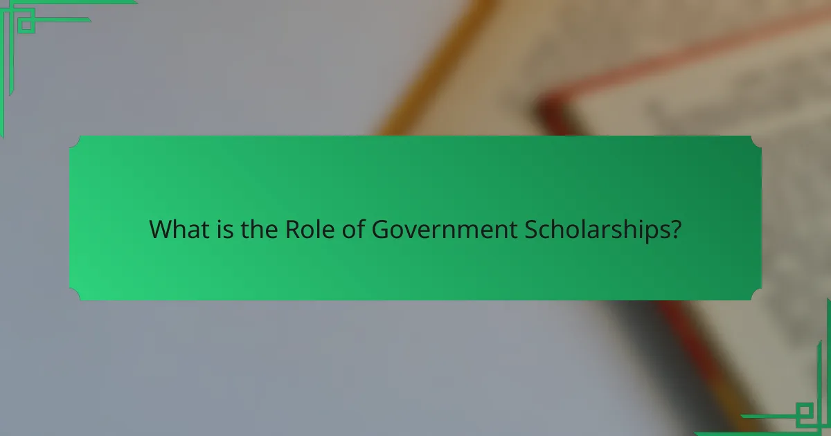 What is the Role of Government Scholarships?