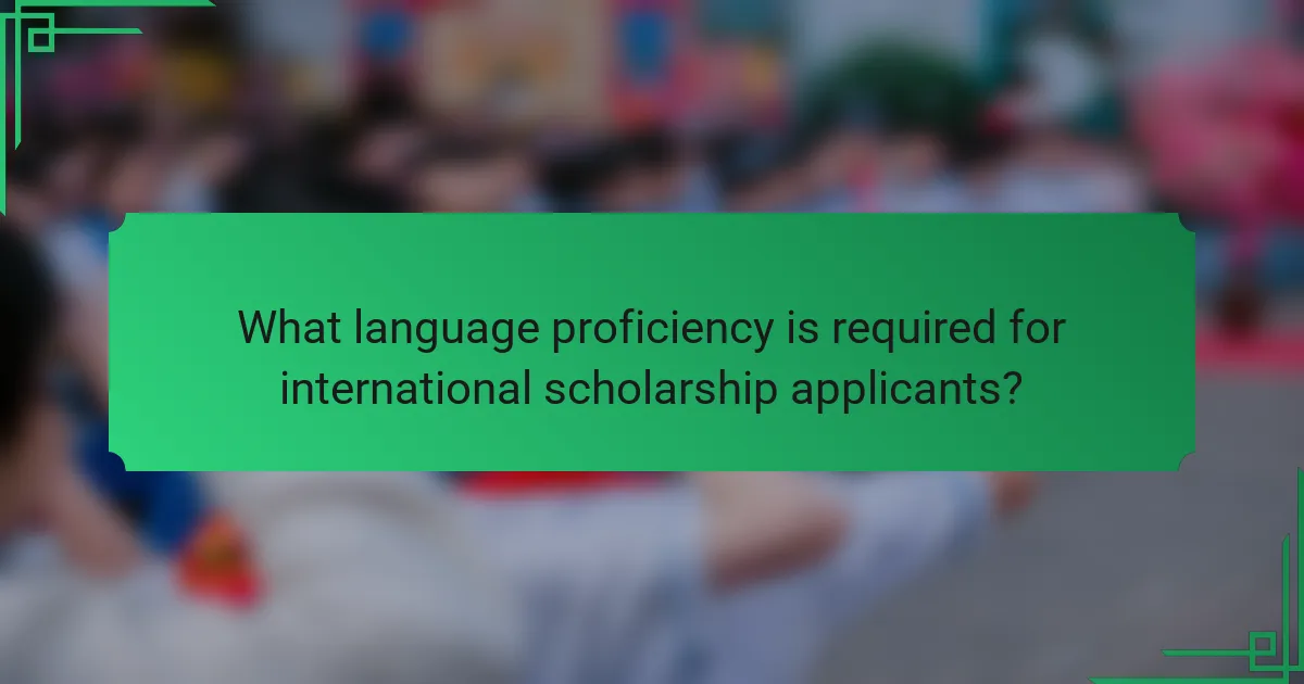 What language proficiency is required for international scholarship applicants?